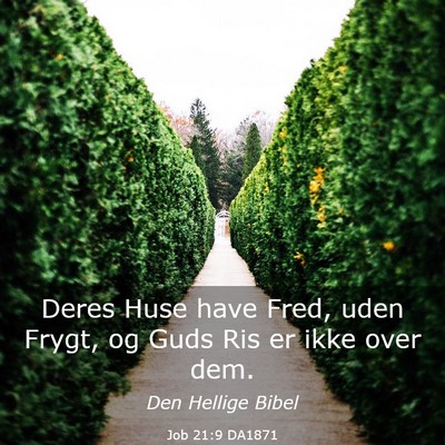 Picture 03 - Job 21:9 DA1871 - Deres Huse have Fred, uden Frygt, og Guds Ris er - Bible Verse Picture