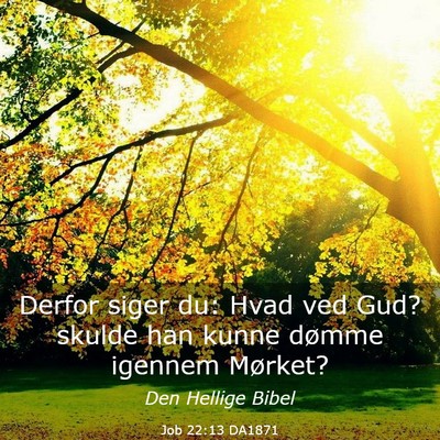 Picture 03 - Job 22:13 DA1871 - Derfor siger du: Hvad ved Gud? skulde han kunne - Bible Verse Picture