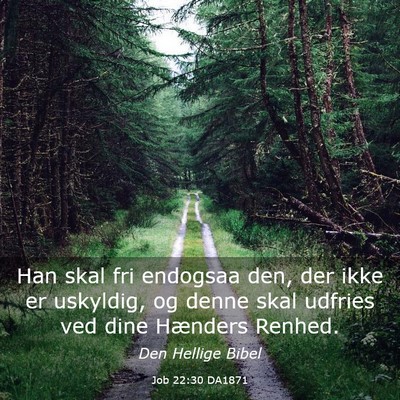 Picture 03 - Job 22:30 DA1871 - Han skal fri endogsaa den, der ikke er uskyldig, - Bible Verse Picture