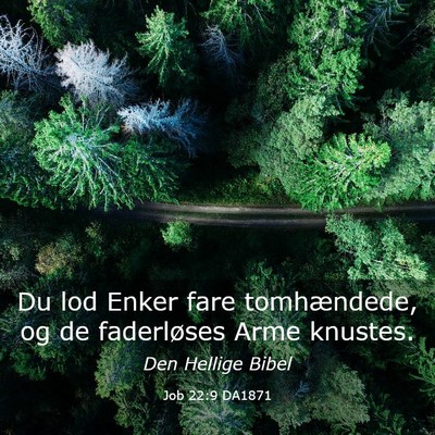 Picture 03 - Job 22:9 DA1871 - Du lod Enker fare tomhændede, og de faderløses - Bible Verse Picture