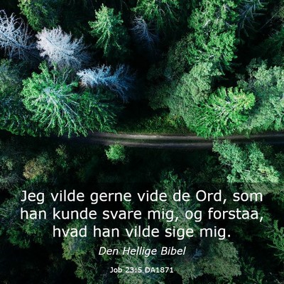 Picture 03 - Job 23:5 DA1871 - Jeg vilde gerne vide de Ord, som han kunde svare - Bible Verse Picture