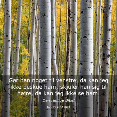 Picture 03 - Job 23:9 DA1871 - Gør han noget til venstre, da kan jeg ikke - Bible Verse Picture