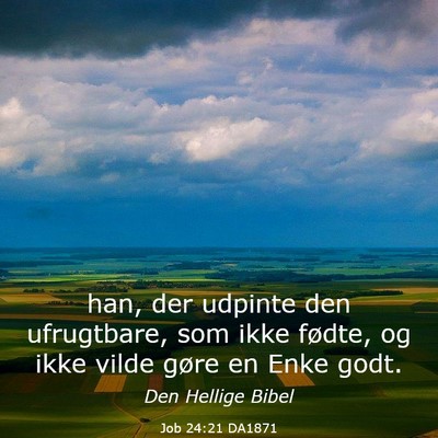Picture 03 - Job 24:21 DA1871 - han, der udpinte den ufrugtbare, som ikke fødte, - Bible Verse Picture