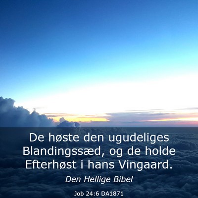 Picture 03 - Job 24:6 DA1871 - De høste den ugudeliges Blandingssæd, og de - Bible Verse Picture