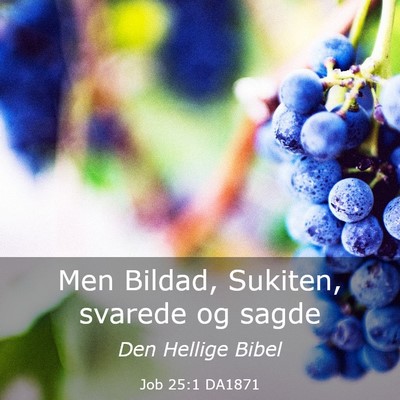 Picture 03 - Job 25:1 DA1871 - Men Bildad, Sukiten, svarede og - Bible Verse Picture