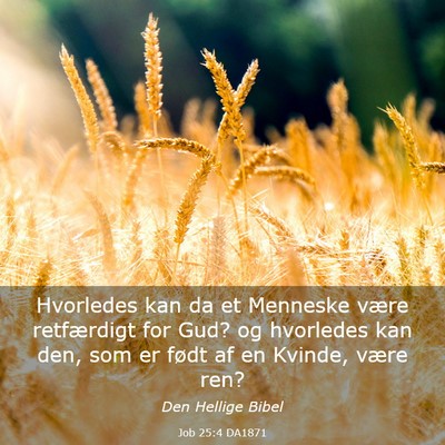 Picture 03 - Job 25:4 DA1871 - Hvorledes kan da et Menneske være retfærdigt - Bible Verse Picture