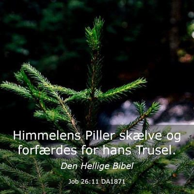 Picture 03 - Job 26:11 DA1871 - Himmelens Piller skælve og forfærdes for hans - Bible Verse Picture