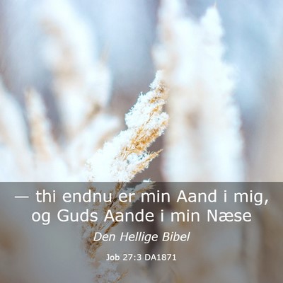 Picture 03 - Job 27:3 DA1871 - — thi endnu er min Aand i mig, og Guds Aande i - Bible Verse Picture