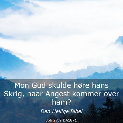 Picture 03 - Job 27:9 DA1871 - Mon Gud skulde høre hans Skrig, naar Angest - Bible Verse Picture