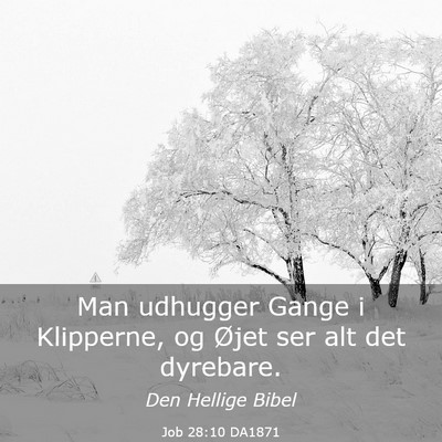 Picture 03 - Job 28:10 DA1871 - Man udhugger Gange i Klipperne, og Øjet ser alt - Bible Verse Picture