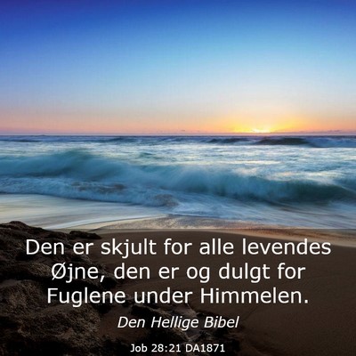 Picture 03 - Job 28:21 DA1871 - Den er skjult for alle levendes Øjne, den er og - Bible Verse Picture