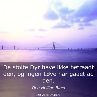 Picture 03 - Job 28:8 DA1871 - De stolte Dyr have ikke betraadt den, og ingen - Bible Verse Picture