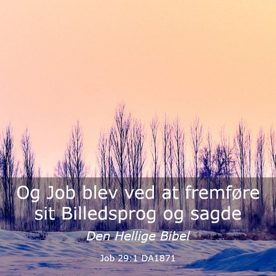 Picture 03 - Job 29:1 DA1871 - Og Job blev ved at fremføre sit Billedsprog og - Bible Verse Picture