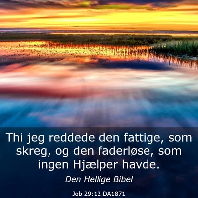 Picture 03 - Job 29:12 DA1871 - Thi jeg reddede den fattige, som skreg, og den - Bible Verse Picture
