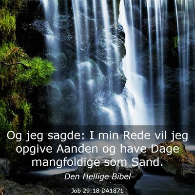 Picture 03 - Job 29:18 DA1871 - Og jeg sagde: I min Rede vil jeg opgive Aanden og - Bible Verse Picture