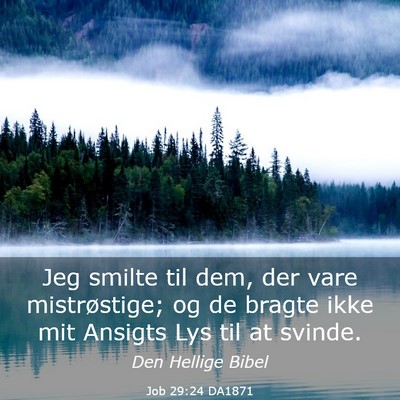 Picture 03 - Job 29:24 DA1871 - Jeg smilte til dem, der vare mistrøstige; og de - Bible Verse Picture