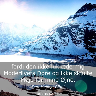 Picture 03 - Job 3:10 DA1871 - fordi den ikke lukkede mig Moderlivets Døre og - Bible Verse Picture
