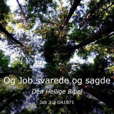 Picture 03 - Job 3:2 DA1871 - Og Job svarede og - Bible Verse Picture