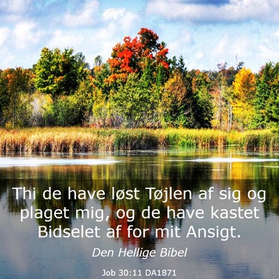 Picture 03 - Job 30:11 DA1871 - Thi de have løst Tøjlen af sig og plaget mig, - Bible Verse Picture