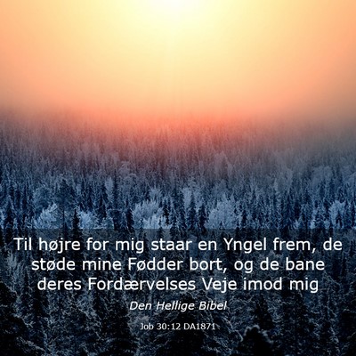 Picture 03 - Job 30:12 DA1871 - Til højre for mig staar en Yngel frem, de støde - Bible Verse Picture