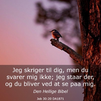Picture 03 - Job 30:20 DA1871 - Jeg skriger til dig, men du svarer mig ikke; jeg - Bible Verse Picture