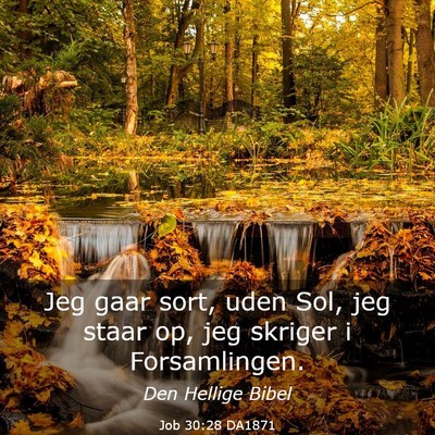 Picture 03 - Job 30:28 DA1871 - Jeg gaar sort, uden Sol, jeg staar op, jeg - Bible Verse Picture