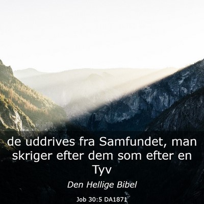 Picture 03 - Job 30:5 DA1871 - de uddrives fra Samfundet, man skriger efter dem - Bible Verse Picture