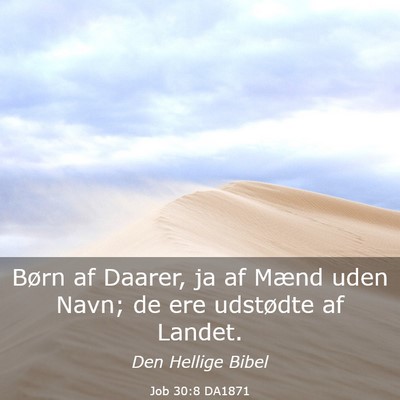 Picture 03 - Job 30:8 DA1871 - Børn af Daarer, ja af Mænd uden Navn; de ere - Bible Verse Picture