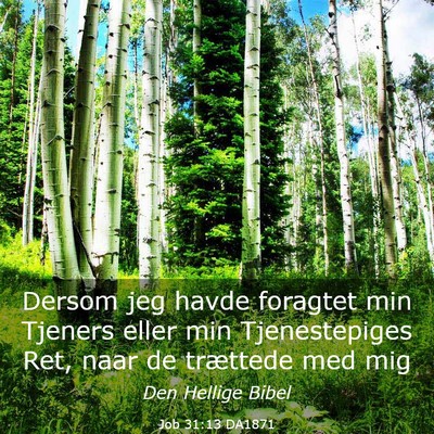 Picture 03 - Job 31:13 DA1871 - Dersom jeg havde foragtet min Tjeners eller min - Bible Verse Picture