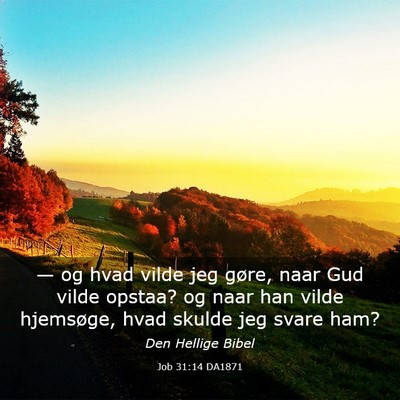 Picture 03 - Job 31:14 DA1871 - — og hvad vilde jeg gøre, naar Gud vilde - Bible Verse Picture