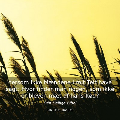 Picture 03 - Job 31:31 DA1871 - dersom ikke Mændene i mit Telt have sagt: Hvor - Bible Verse Picture