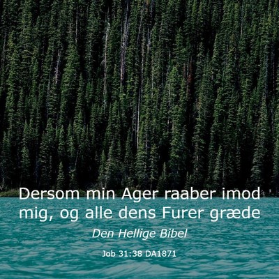 Picture 03 - Job 31:38 DA1871 - Dersom min Ager raaber imod mig, og alle dens - Bible Verse Picture