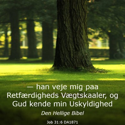 Picture 03 - Job 31:6 DA1871 - — han veje mig paa Retfærdigheds Vægtskaaler, - Bible Verse Picture