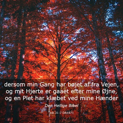 Picture 03 - Job 31:7 DA1871 - dersom min Gang har bøjet af fra Vejen, og mit - Bible Verse Picture