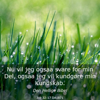 Picture 03 - Job 32:17 DA1871 - Nu vil jeg ogsaa svare for min Del, ogsaa jeg vil - Bible Verse Picture