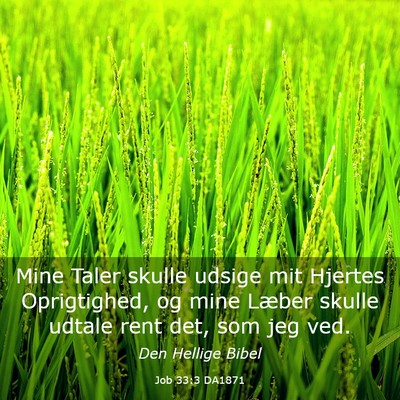 Picture 03 - Job 33:3 DA1871 - Mine Taler skulle udsige mit Hjertes Oprigtighed, - Bible Verse Picture