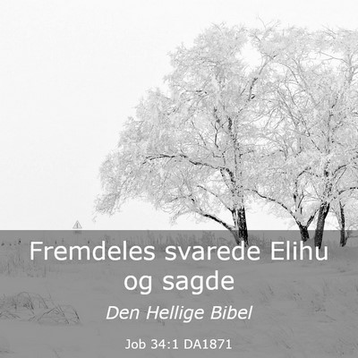 Picture 03 - Job 34:1 DA1871 - Fremdeles svarede Elihu og - Bible Verse Picture