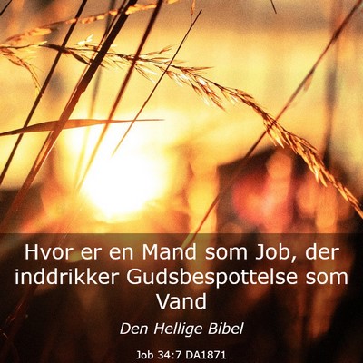 Picture 03 - Job 34:7 DA1871 - Hvor er en Mand som Job, der inddrikker - Bible Verse Picture