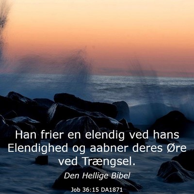 Picture 03 - Job 36:15 DA1871 - Han frier en elendig ved hans Elendighed og - Bible Verse Picture