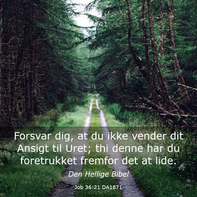 Picture 03 - Job 36:21 DA1871 - Forsvar dig, at du ikke vender dit Ansigt til - Bible Verse Picture