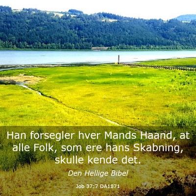Picture 03 - Job 37:7 DA1871 - Han forsegler hver Mands Haand, at alle Folk, som - Bible Verse Picture