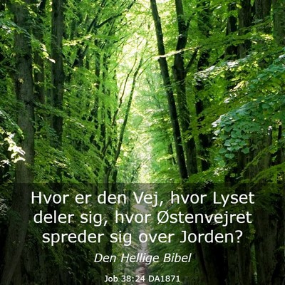 Picture 03 - Job 38:24 DA1871 - Hvor er den Vej, hvor Lyset deler sig, hvor - Bible Verse Picture