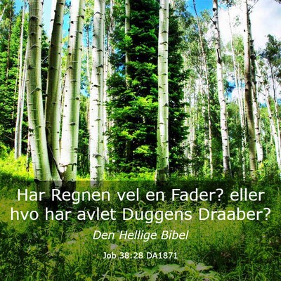 Picture 03 - Job 38:28 DA1871 - Har Regnen vel en Fader? eller hvo har avlet - Bible Verse Picture