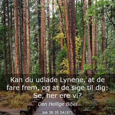 Picture 03 - Job 38:35 DA1871 - Kan du udlade Lynene, at de fare frem, og at de - Bible Verse Picture
