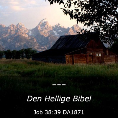 Picture 03 - Job 38:39 DA1871 -  - Bible Verse Picture