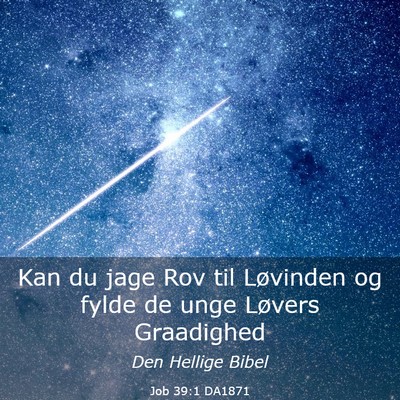 Picture 03 - Job 39:1 DA1871 - Kan du jage Rov til Løvinden og fylde de unge - Bible Verse Picture