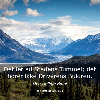Picture 03 - Job 39:10 DA1871 - Det ler ad Stadens Tummel; det hører ikke - Bible Verse Picture