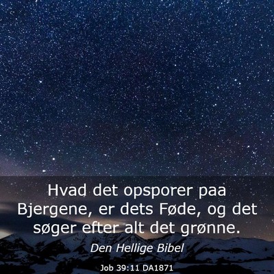 Picture 03 - Job 39:11 DA1871 - Hvad det opsporer paa Bjergene, er dets Føde, og - Bible Verse Picture