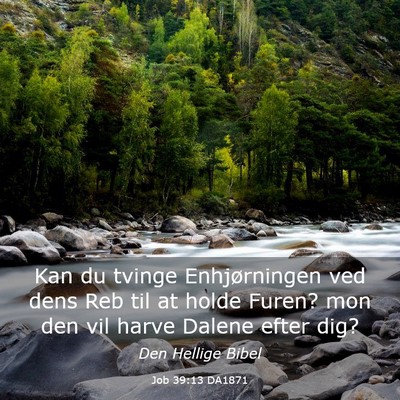 Picture 03 - Job 39:13 DA1871 - Kan du tvinge Enhjørningen ved dens Reb til at - Bible Verse Picture