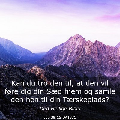Picture 03 - Job 39:15 DA1871 - Kan du tro den til, at den vil føre dig din Sæd - Bible Verse Picture